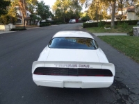 1979 Pontiac Trans Am for sale in Michigan (ID-141341)