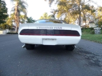 1979 Pontiac Trans Am for sale in Michigan (ID-141341)