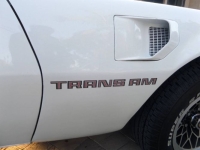 1979 Pontiac Trans Am for sale in Michigan (ID-141341)
