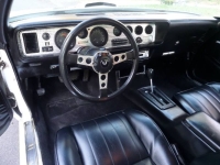 1979 Pontiac Trans Am for sale in Michigan (ID-141341)