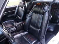 1979 Pontiac Trans Am for sale in Michigan (ID-141341)