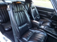1979 Pontiac Trans Am for sale in Michigan (ID-141341)