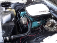 1979 Pontiac Trans Am for sale in Michigan (ID-141341)