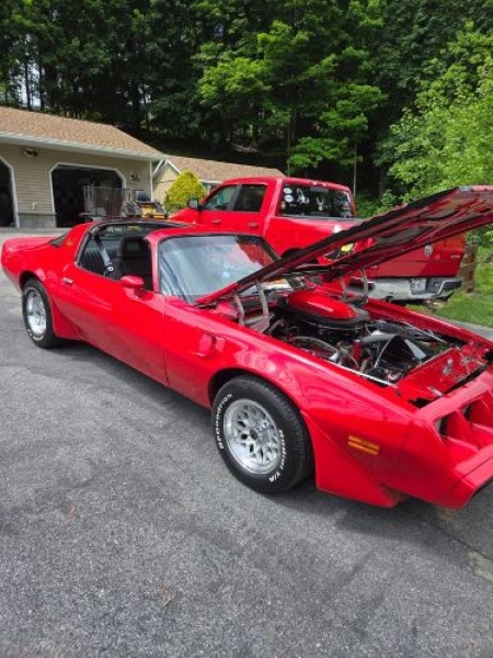 1979 Pontiac Trans Am for sale in Michigan (ID-142147)