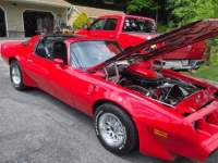 1979 Pontiac Trans Am for sale in Michigan (ID-142147)
