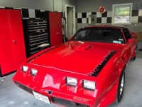 1979 Pontiac Trans Am for sale in Michigan (ID-142147)
