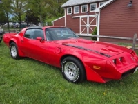 1979 Pontiac Trans Am for sale in Michigan (ID-142147)