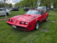 1979 Pontiac Trans Am for sale in Michigan (ID-142147)