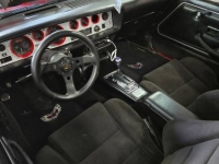 1979 Pontiac Trans Am for sale in Michigan (ID-142147)