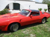 1979 Pontiac Trans Am for sale in Michigan (ID-142207)