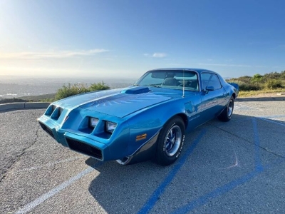 1979 Pontiac Trans Am for sale