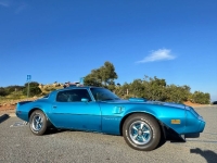 1979 Pontiac Trans Am for sale in Michigan (ID-142929)