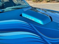 1979 Pontiac Trans Am for sale in Michigan (ID-142929)