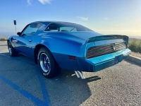 1979 Pontiac Trans Am for sale in Michigan (ID-142929)