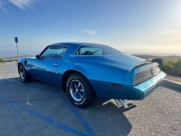 1979 Pontiac Trans Am for sale in Michigan (ID-142929)