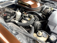 1979 Pontiac Trans Am for sale in Riverhead, New York (ID-143255)