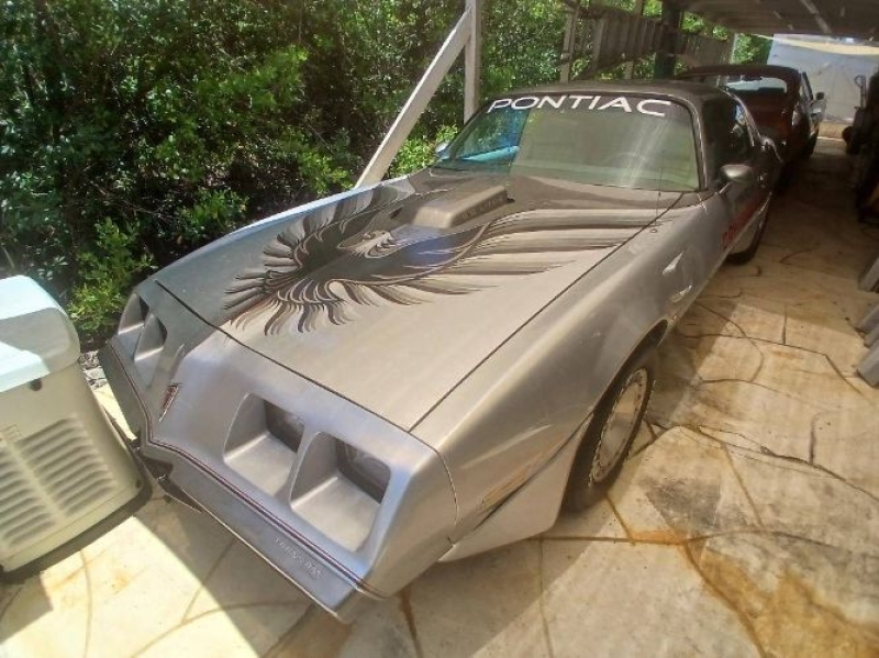 1979 Pontiac Trans Am for sale in Michigan (ID-143664)