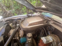 1979 Pontiac Trans Am for sale in Michigan (ID-143664)