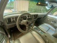 1979 Pontiac Trans Am for sale in Michigan (ID-143664)