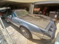 1979 Pontiac Trans Am for sale in Michigan (ID-143664)
