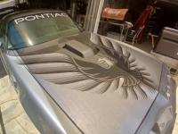 1979 Pontiac Trans Am for sale in Michigan (ID-143664)