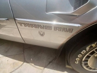 1979 Pontiac Trans Am for sale in Michigan (ID-143664)
