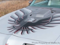 1979 Pontiac Trans Am for sale in Riverhead, New York (ID-144486)
