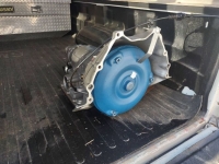 1979 Pontiac Trans Am for sale in Michigan (ID-145194)