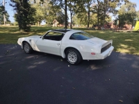 1979 Pontiac Trans Am for sale in Michigan (ID-145194)