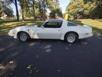 1979 Pontiac Trans Am for sale in Michigan (ID-145194)