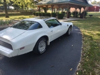 1979 Pontiac Trans Am for sale in Michigan (ID-145194)
