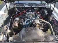 1979 Pontiac Trans Am for sale in Michigan (ID-145194)