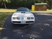 1979 Pontiac Trans Am for sale in Michigan (ID-145194)