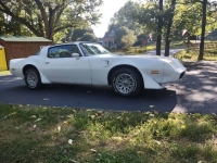 1979 Pontiac Trans Am for sale in Michigan (ID-145194)
