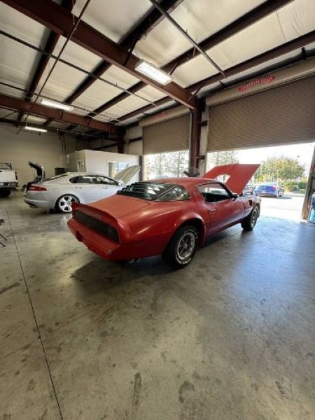 1979 Pontiac Trans Am for sale in Michigan (ID-145731) 1979 Pontiac Trans Am for sale in Michigan (ID-145731)