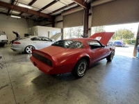 1979 Pontiac Trans Am for sale in Michigan (ID-145731)