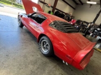 1979 Pontiac Trans Am for sale in Michigan (ID-145731)