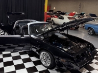 1979 Pontiac Trans Am for sale in Addison, Illinois (ID-146869)