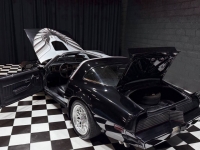 1979 Pontiac Trans Am for sale in Addison, Illinois (ID-146869)