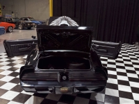 1979 Pontiac Trans Am for sale in Addison, Illinois (ID-146869)