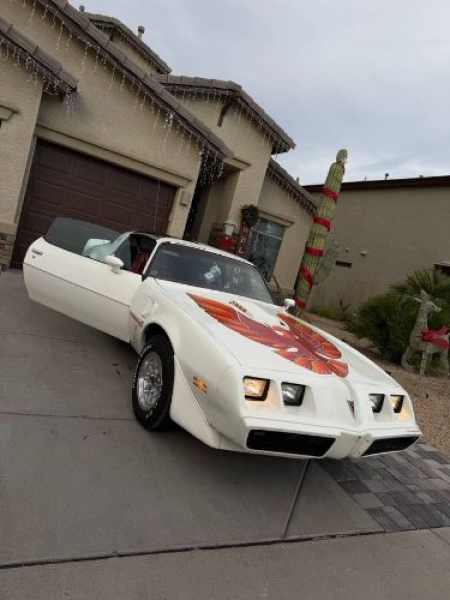 1979 Pontiac Trans Am for sale in Michigan (ID-155485)