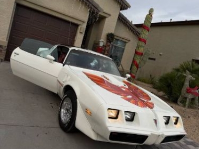 1979 Pontiac Trans Am for sale