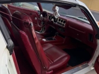 1979 Pontiac Trans Am for sale in Michigan (ID-155485)
