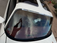 1979 Pontiac Trans Am for sale in Michigan (ID-155485)