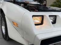 1979 Pontiac Trans Am for sale in Michigan (ID-155485)