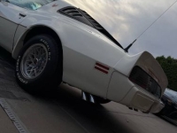 1979 Pontiac Trans Am for sale in Michigan (ID-155485)