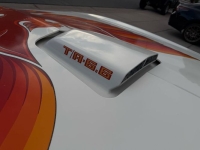 1979 Pontiac Trans Am for sale in Michigan (ID-155485)