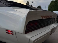 1979 Pontiac Trans Am for sale in Michigan (ID-155485)