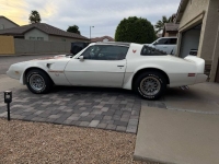 1979 Pontiac Trans Am for sale in Michigan (ID-155485)