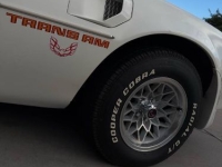 1979 Pontiac Trans Am for sale in Michigan (ID-155485)